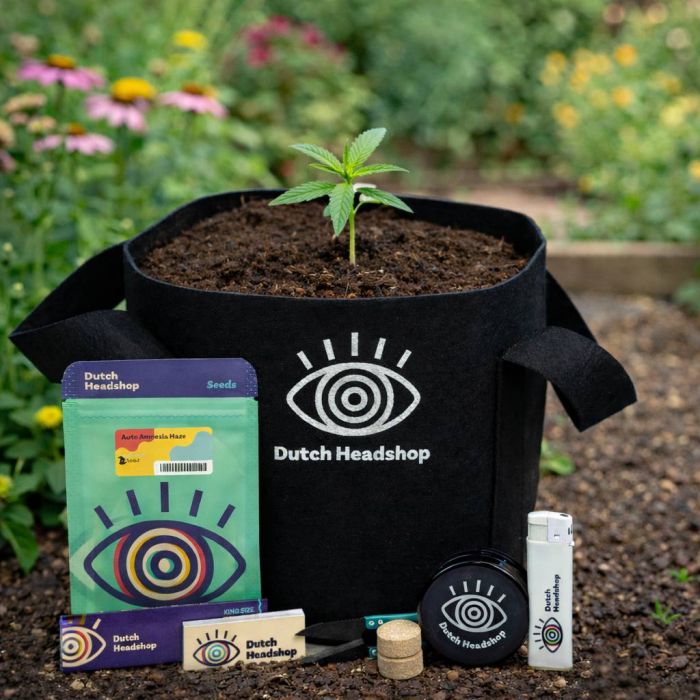 Dutch-Headshop All-in-One Autoflower Growbucket Gras Anbauen main product photo