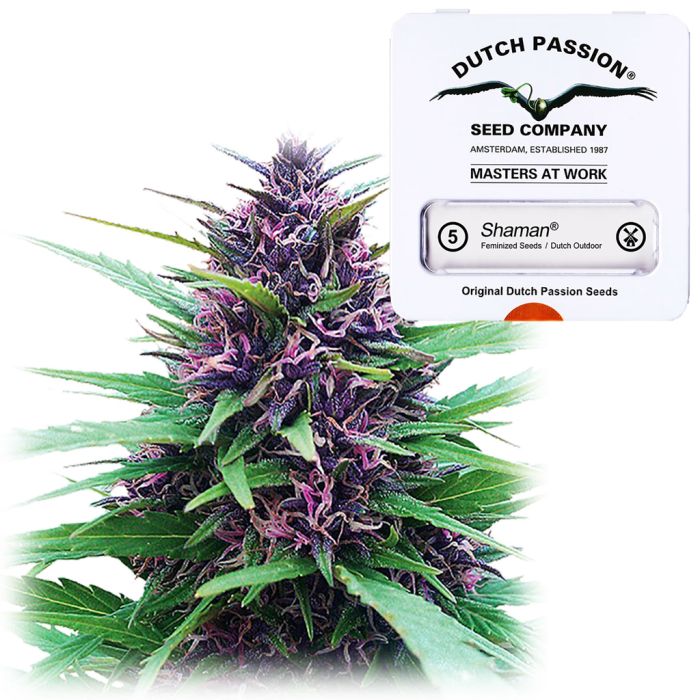 Shaman (Dutch Passion) 5 Samen main product photo