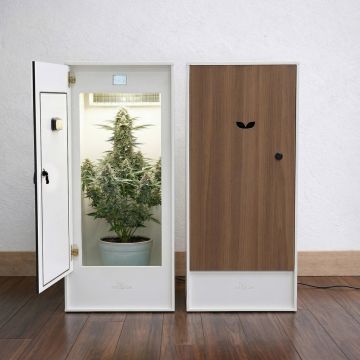 MiniGrow Box Grow-Schrank One Large