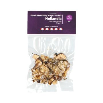 Magische Trüffel Hollandia (Hausmarke) 15 Gramm