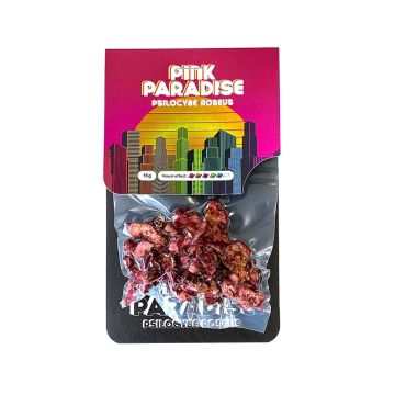 Magische Trüffel Pink Paradise 15 Gramm