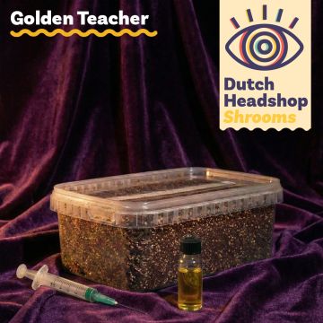 Golden Teacher Liquid Culture Bündel mit Substrat