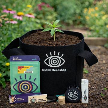 Dutch-Headshop All-in-One Autoflower Growbucket Gras Anbauen