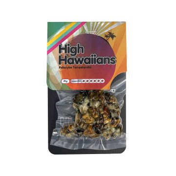 Magische Trüffel High Hawaiians 25 Gramm
