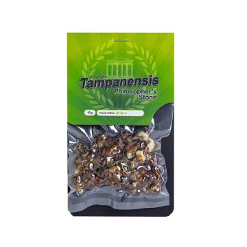 Magische Trüffel Tampanensis 15 Gramm