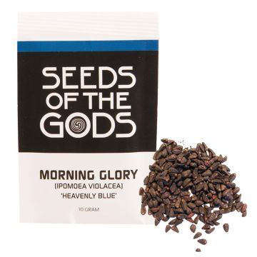 Morning Glory Samen (10 Gramm) - Heavenly Blue