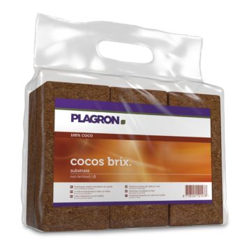 Cocos Brix (Plagron) 6 stück