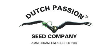 Dutch Passion samen