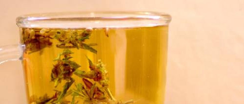 Schnell und Einfach Cannabis Tee Machen