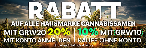 10% Rabatt auf alle Hausmarke Cannabis Samen und ganze 20%, wenn du dich in dein Konto einloggst. Noch kein Konto? Erstelle jetzt eines! Es kostet nichts und bringt dir sofort zusätzlichen Rabatt!