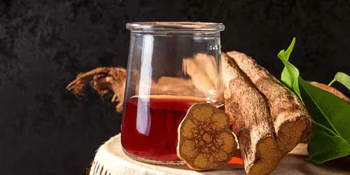 ayahuasca vine brew Banisteriopsis caapi ist eine Halluzinogen, die vor allem als Bestandteil von Ayahuasca bekannt ist. Banisteriopsis caapi var caupari ist auch als Ayahuasca, Caapi Spruce Ex oder Yagé bekannt. Ayahuasca ist der Blüten Tee, der für seine Rolle in schamanischen und religiösen Tee Zeremonien und sein therapeutisches Potenzial bekannt ist. Sie hat eine lange Geschichte der entheogenen (Verbindung mit dem Geist) Verwendung und den Status eines "Pflanzenlehrers" unter den indigenen Völkern des Amazonas-Regenwaldes.