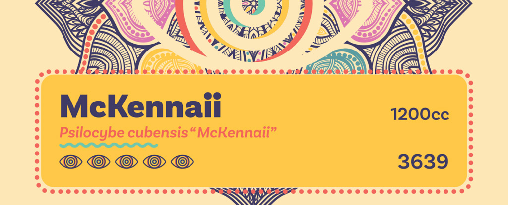 Cubensis-Varietaeten erkennst du bei Dutch-Headshop am gelben Sticker.