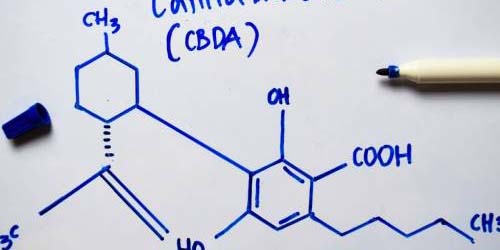 CBDA Cannabidiolsäure