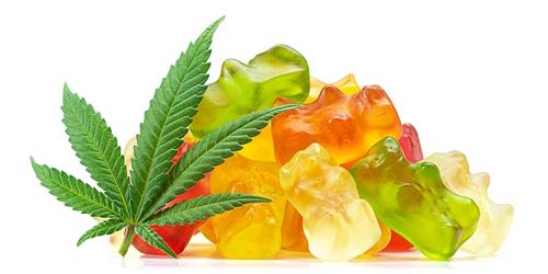 wie man Cannabis-Gummis herstellt