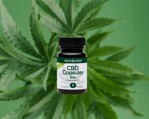 CBD Kapseln